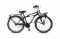 Bike Fun Papillon 26"